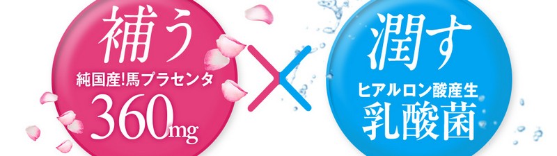 �����Ђ��J���������Y�n�v���Z���^�T�v�������g�y�v���Z���^�̐�360�z
���T�C�g